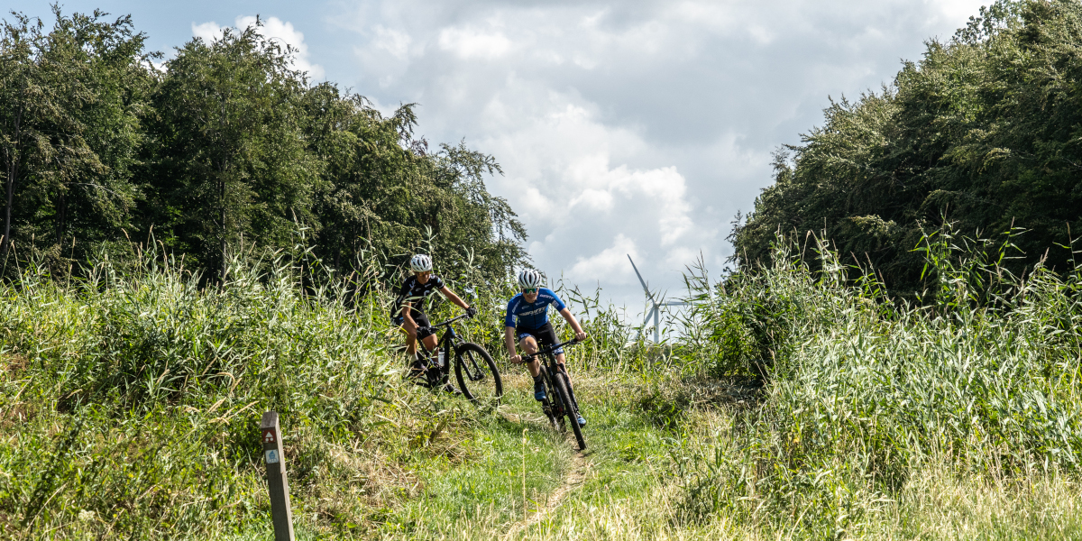 11x Verrassend leuke MTB-routes in Flevoland