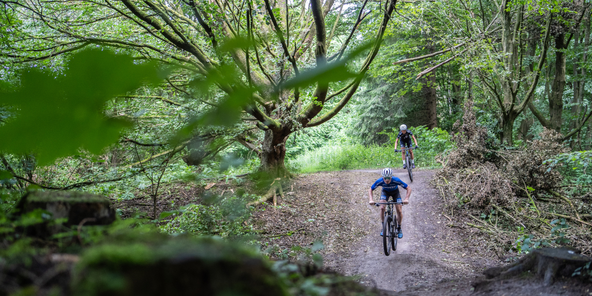 11x Verrassend leuke MTB-routes in Flevoland