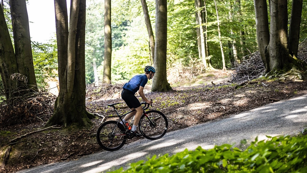 Vlammen in de heuvels