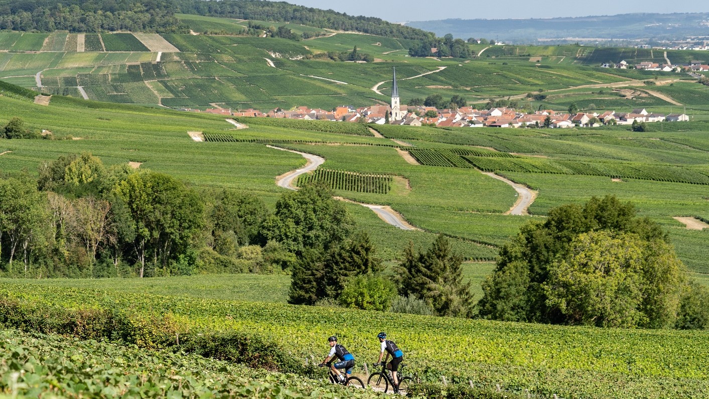 Fietssport reis: Road to Paris