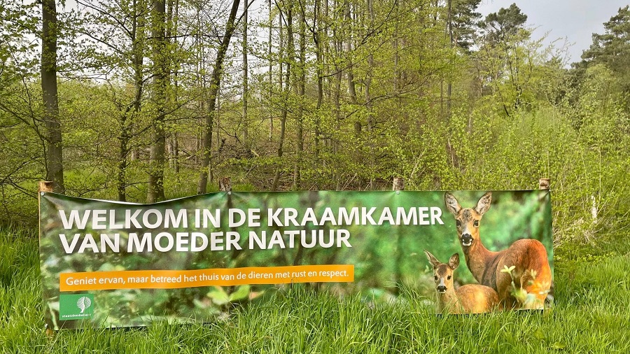 Oproep boswachters: respecteer de kraamkamer van Moeder Natuur
