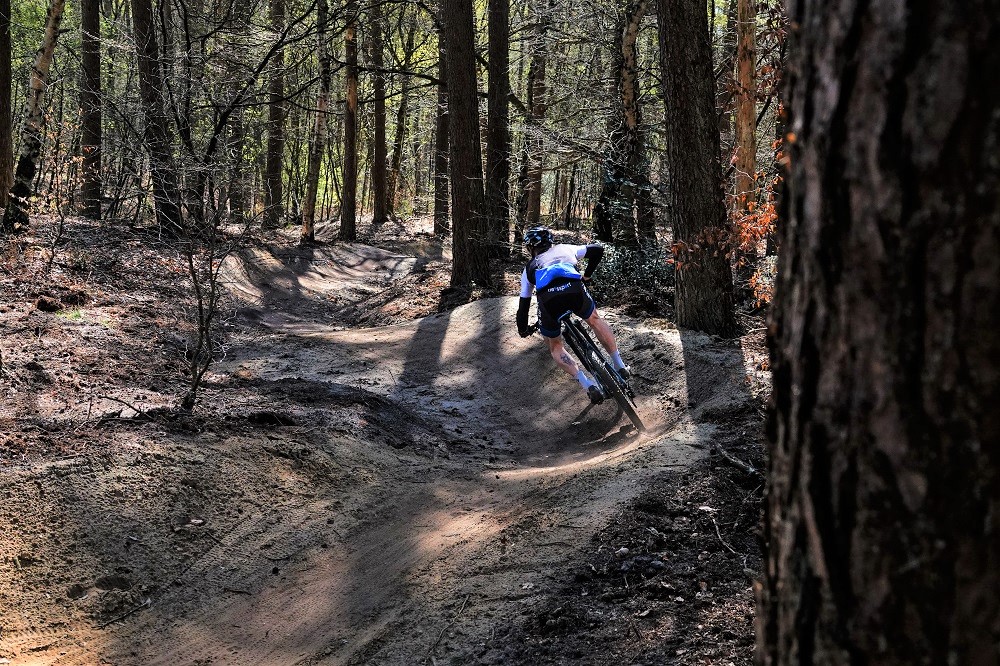 MTB-route Veluwezoom: Stairway to heaven