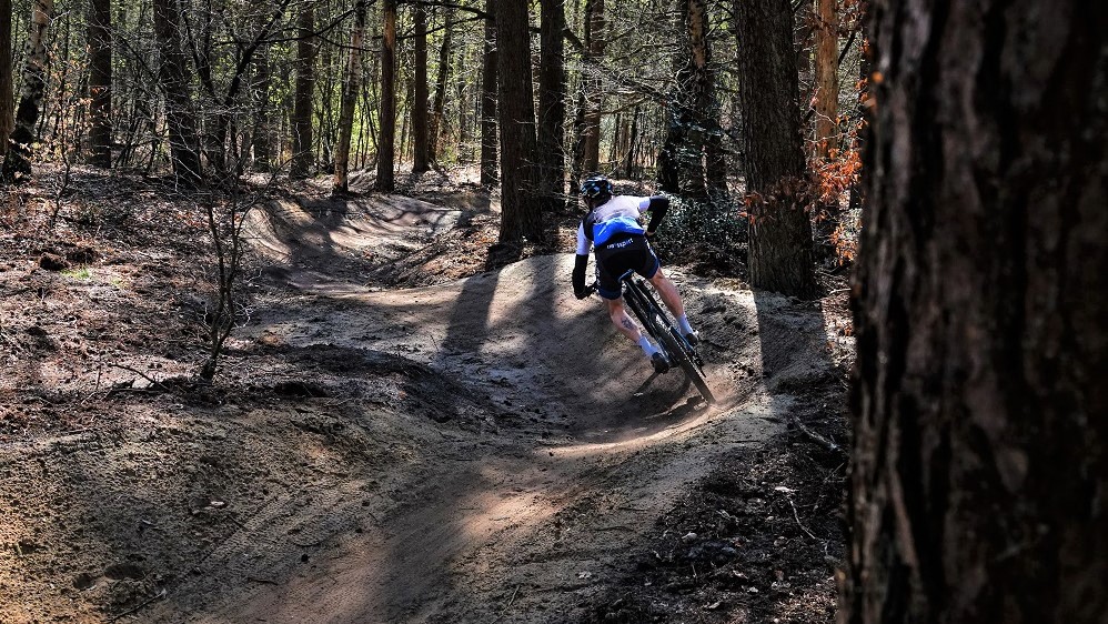 MTB-route Veluwezoom: Stairway to heaven