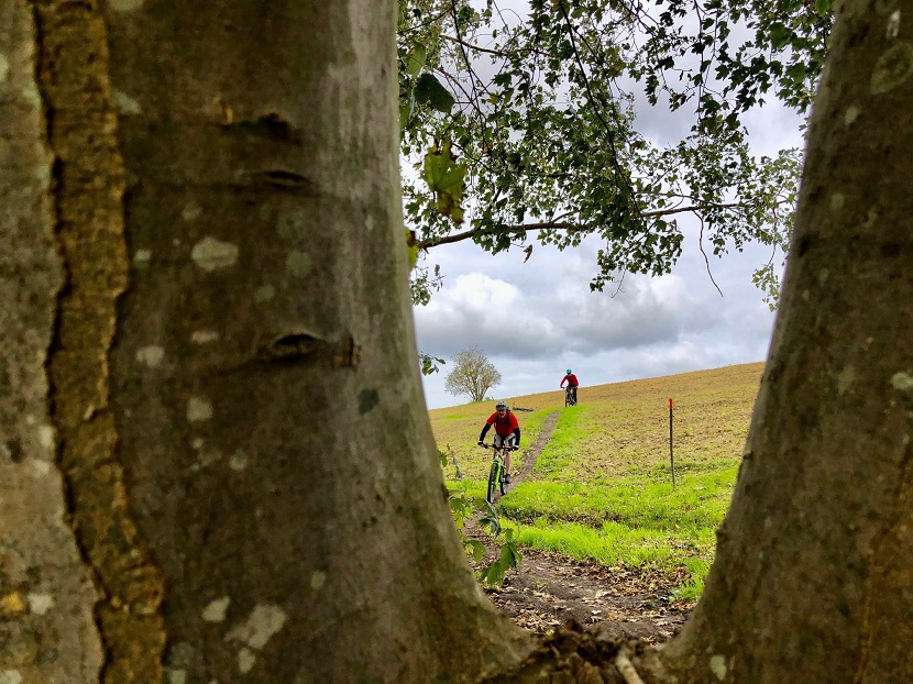 De beloning van al het klimmen: afdalen. - Foto: Ard Krikke