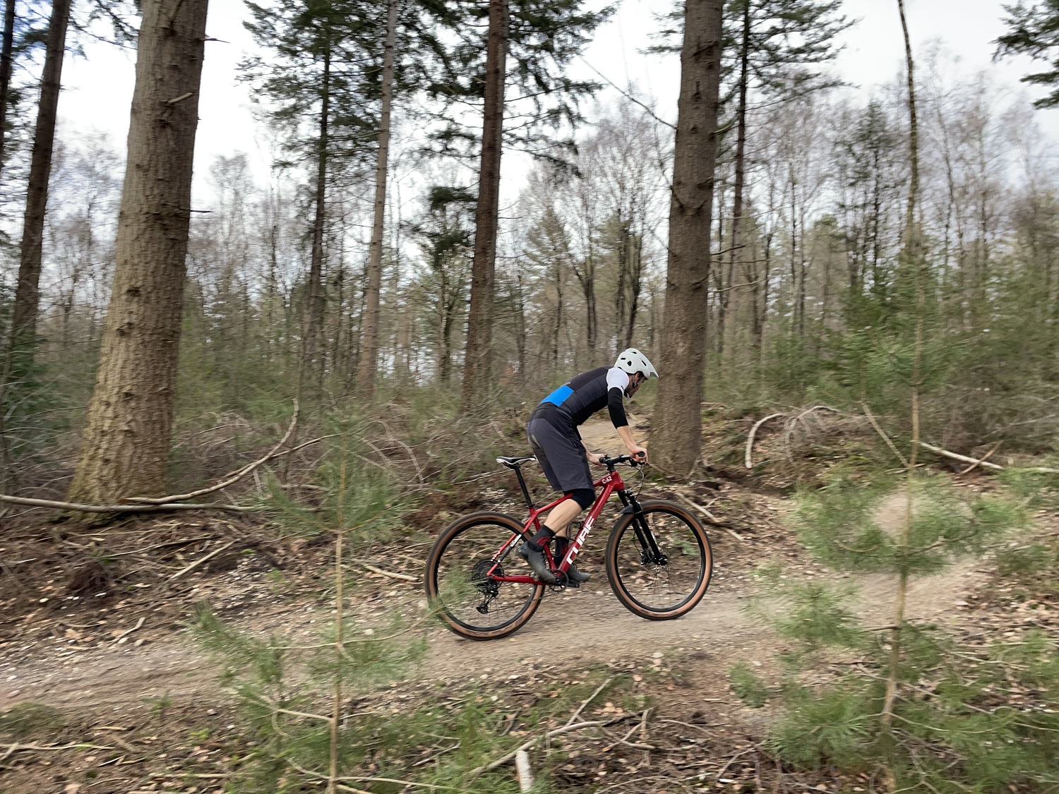 Test: Cube Reaction C:62 One