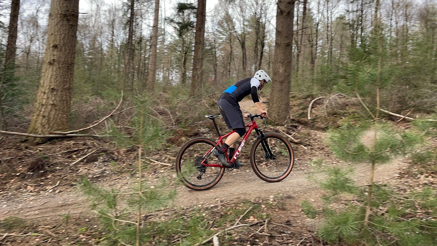 Test: Cube Reaction C:62 One