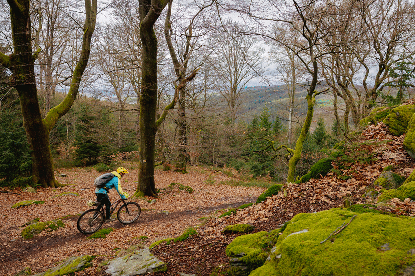 Stoneman Arduenna: uitdagende mountainbike meerdaagse in de Ardennen