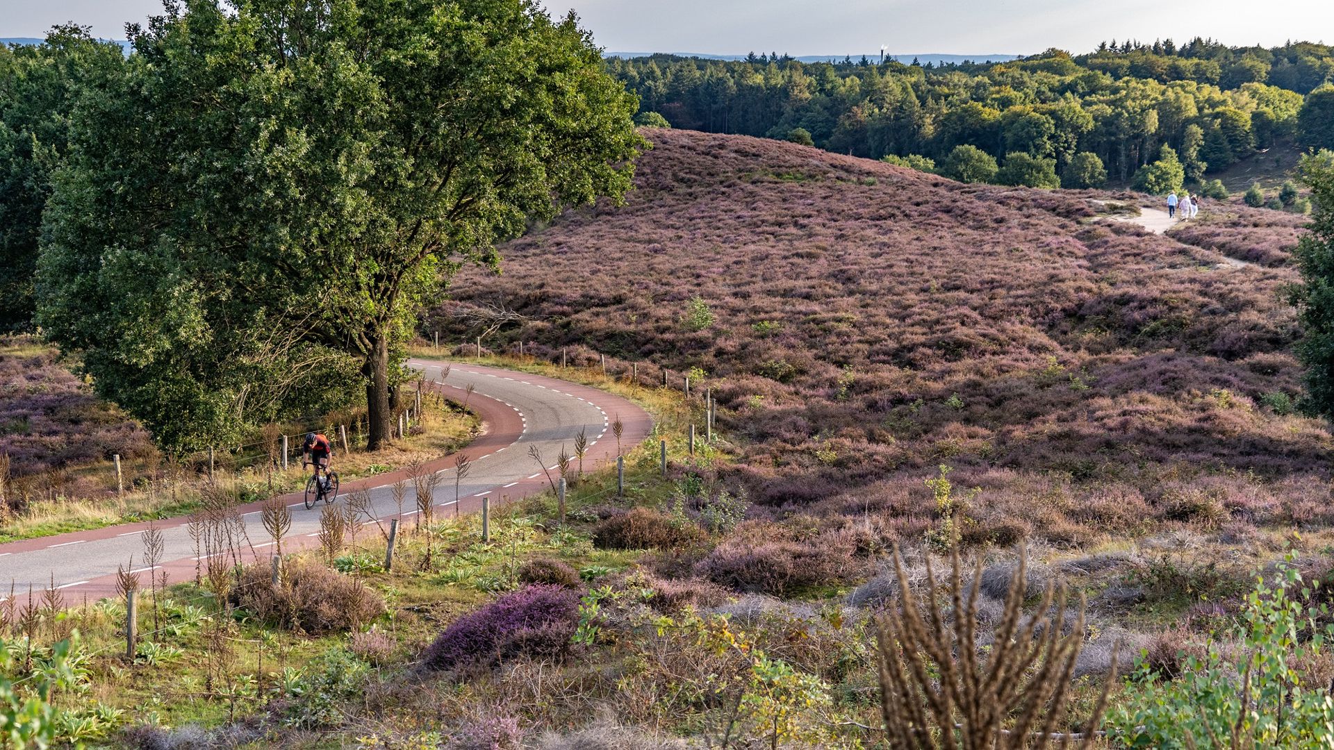Wat moet je als toerfietser of mountainbiker weten over het NK Wielrennen?