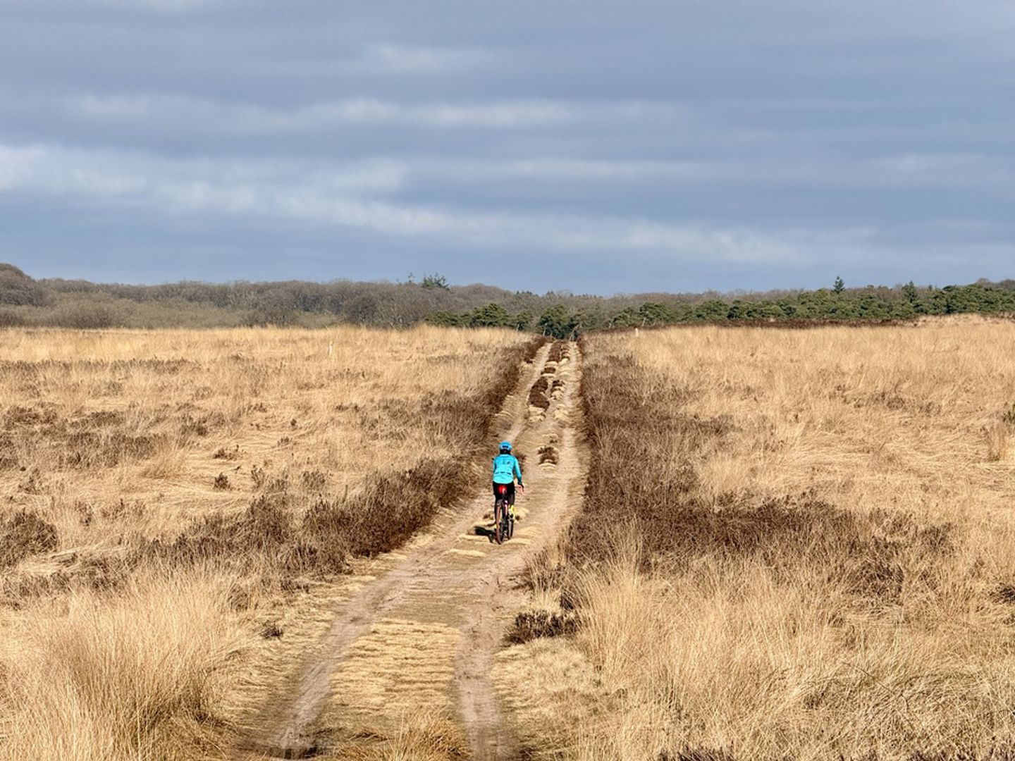 Fietsen is gezond voor je brein