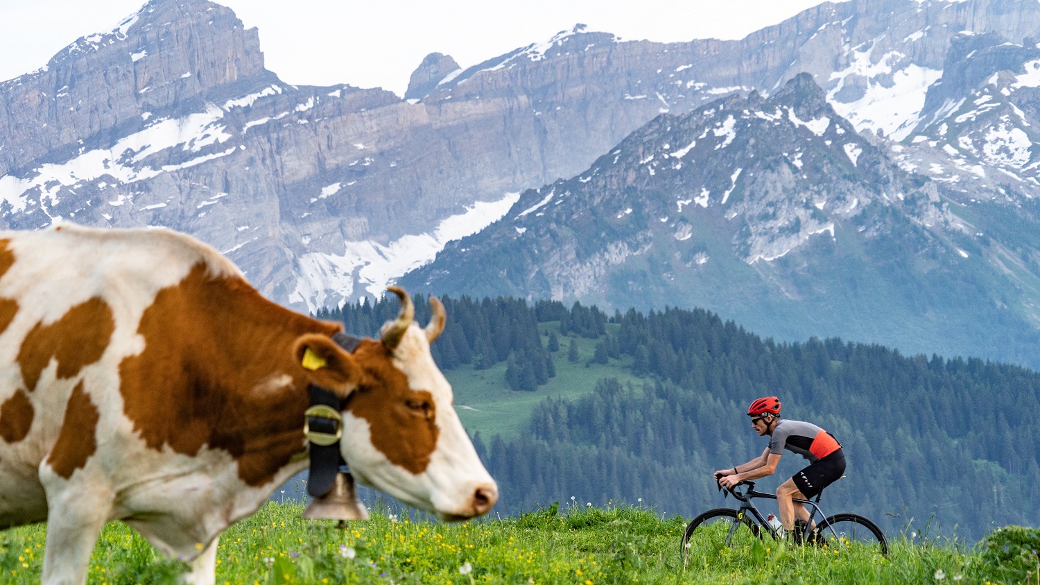 Het Zwitserse Alpes Vaudoises