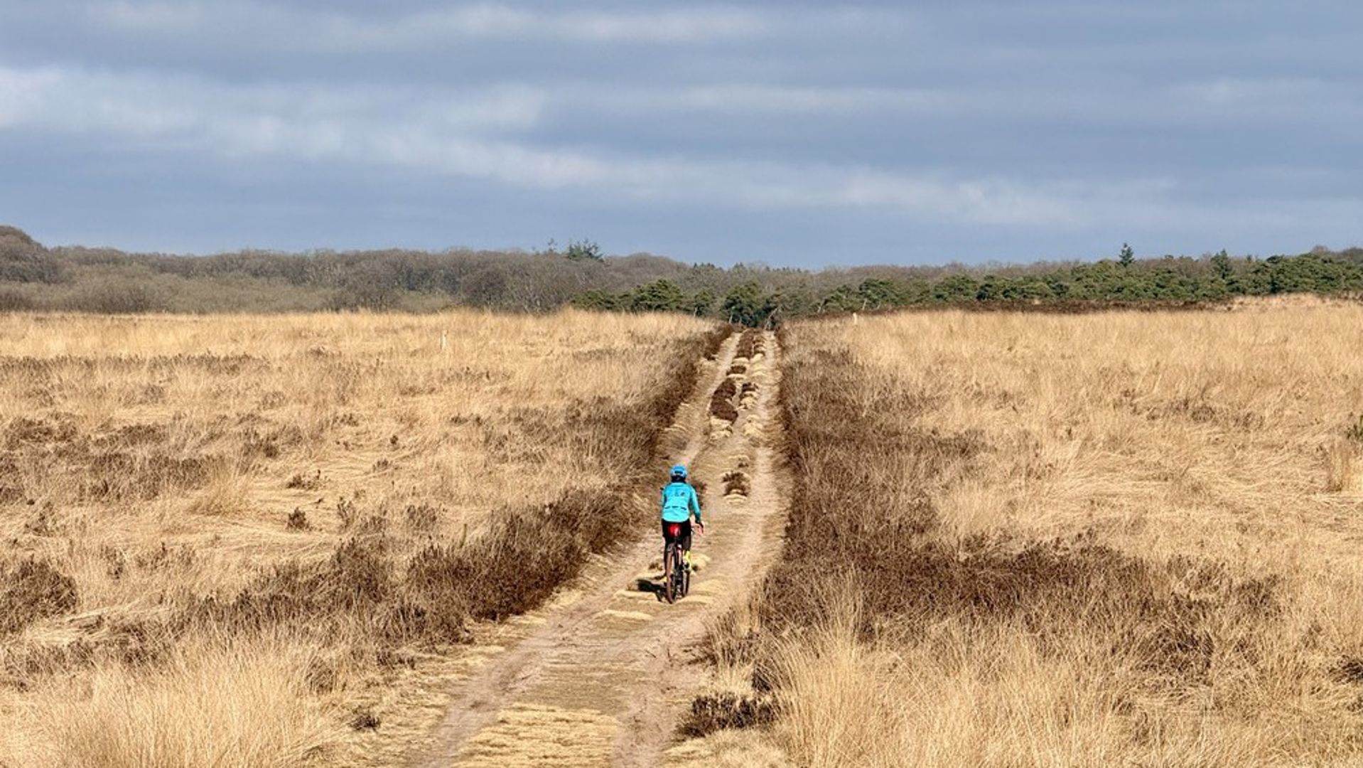 Fietsen is gezond voor je brein