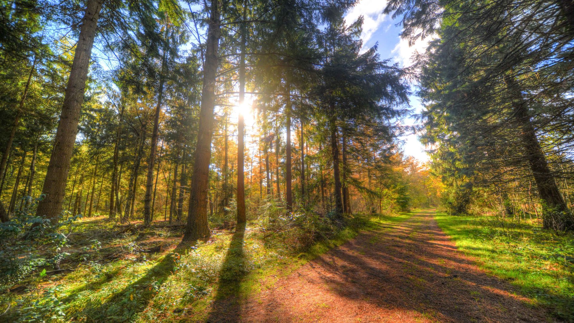 Op excursie met de boswachter: meld je aan