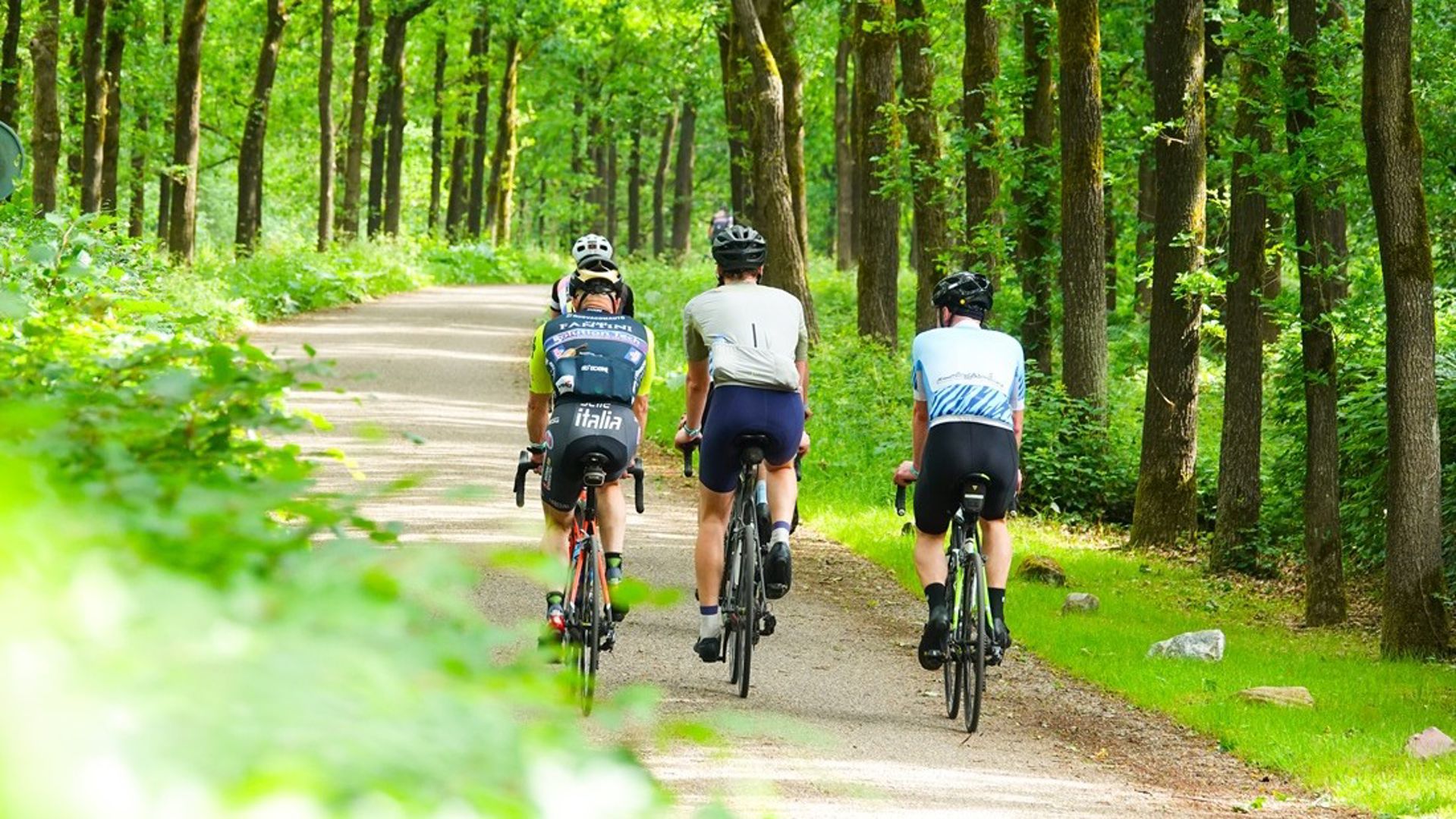 Tour of Holland: 6 dagen koers, 6 toertochten