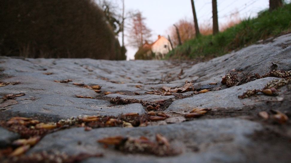 Voorjaarsklassiekers