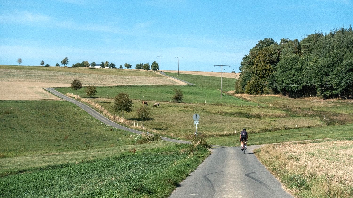 4x Toeren in Toursfeer