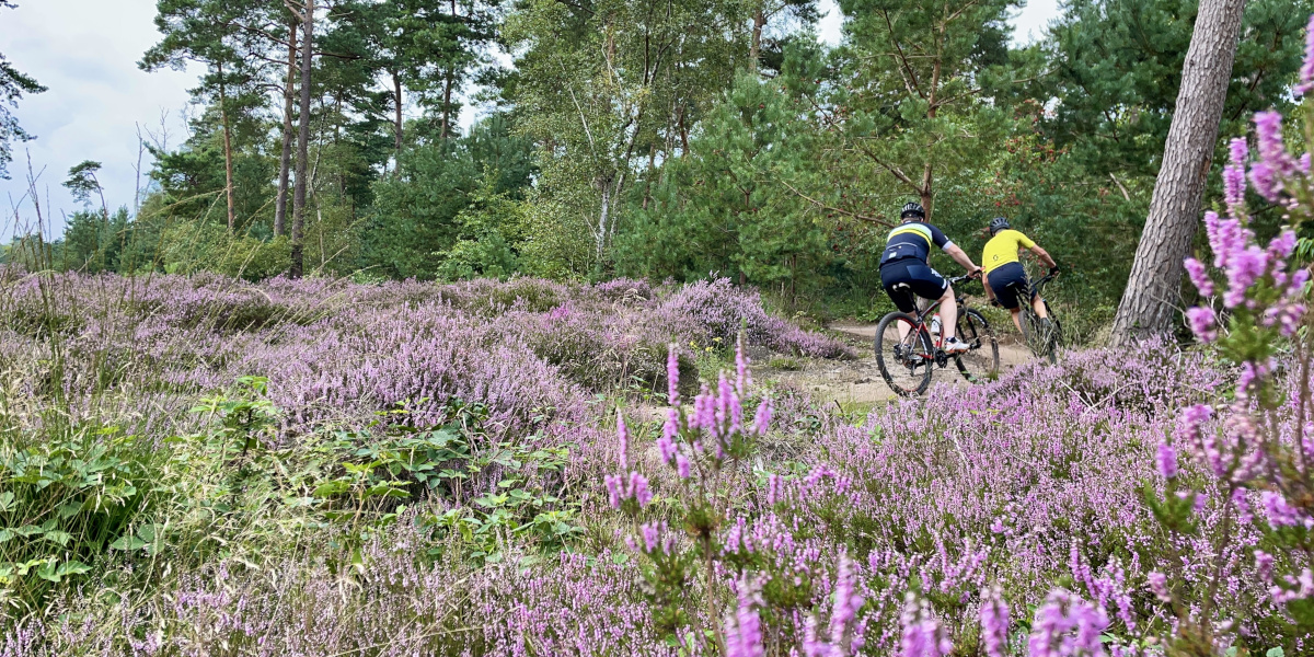 10x MTB-tochten die je in 2023 niet mag missen