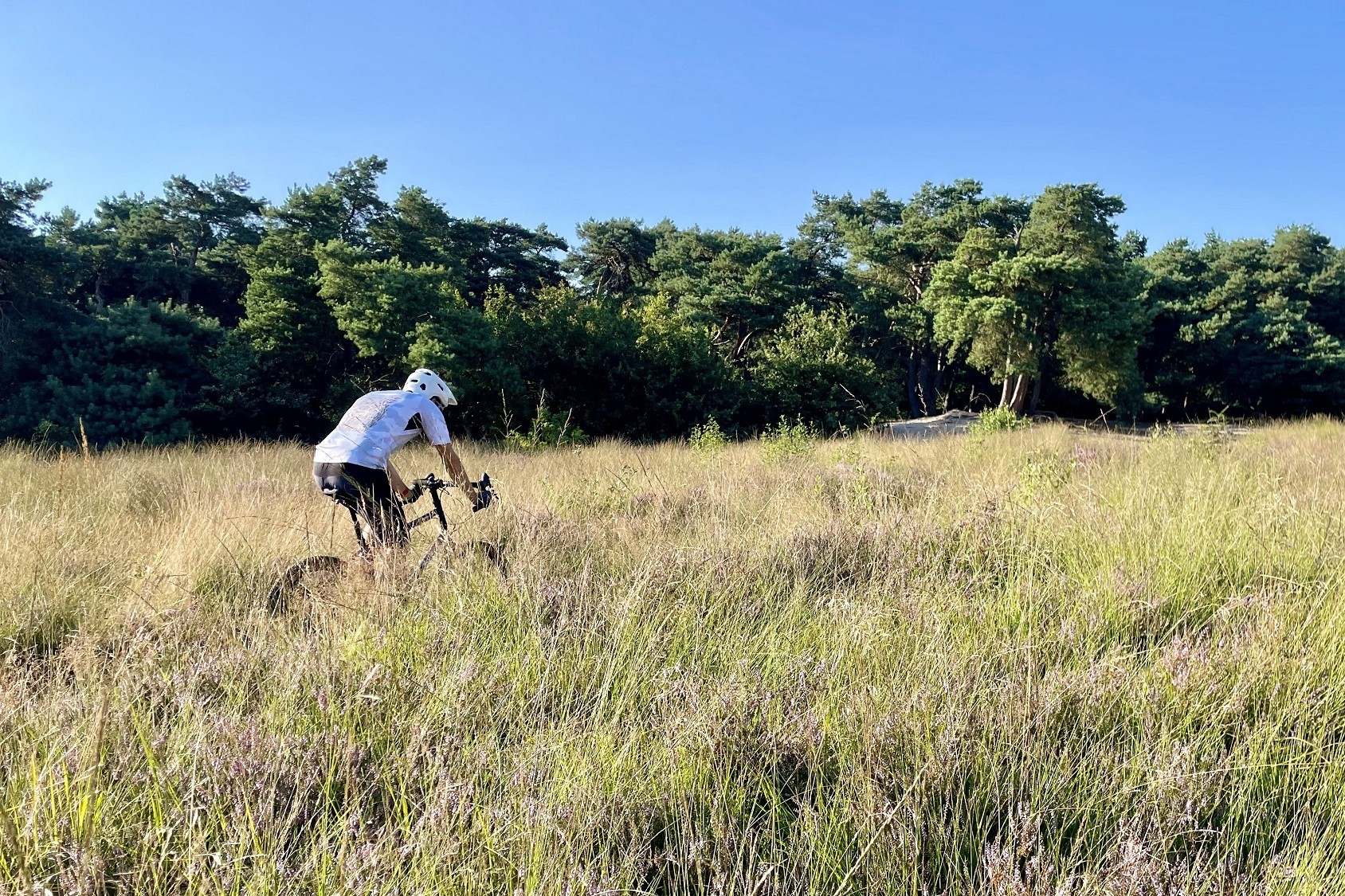 Test: Surly Grappler, een vreemde blauwe vogel