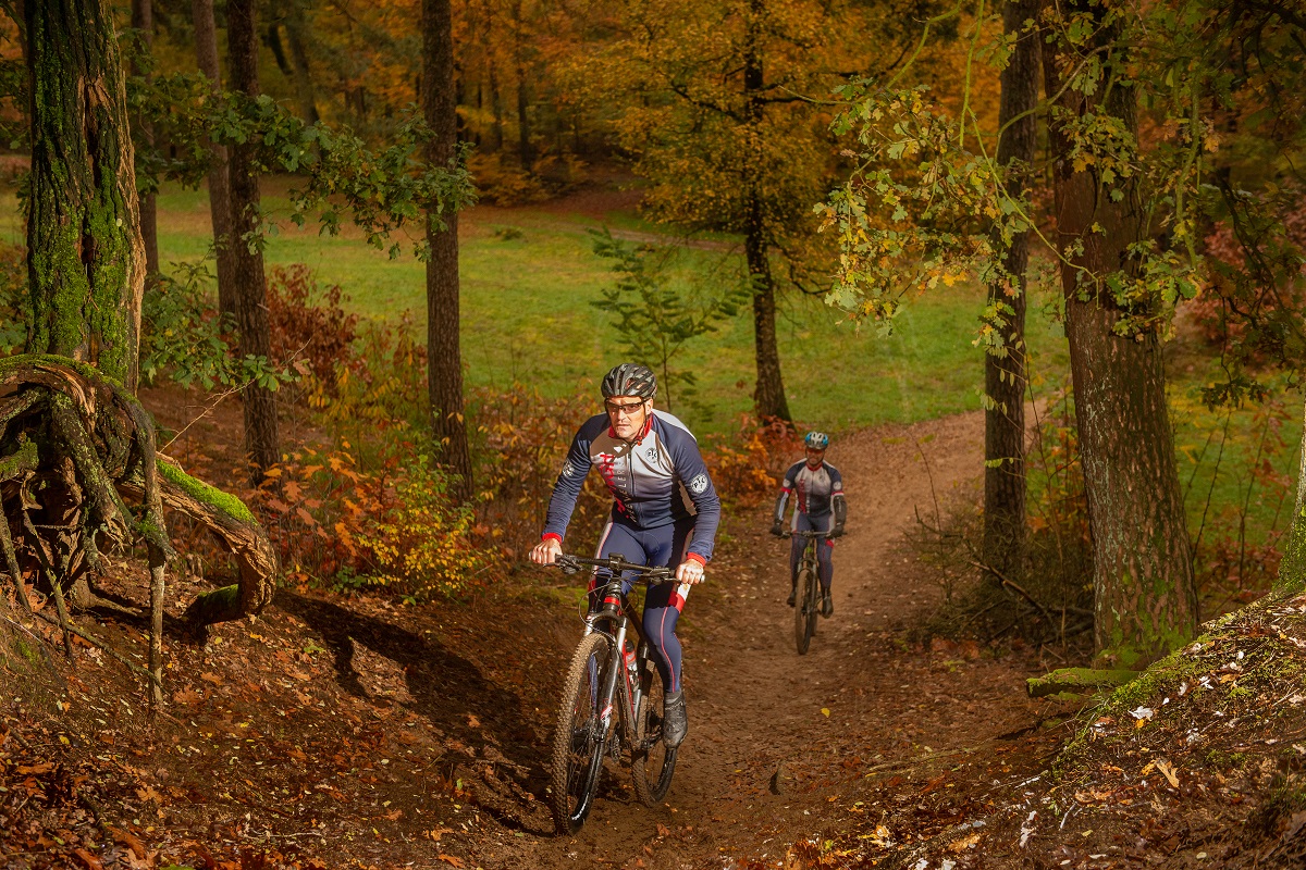 Trail Update 10-2019