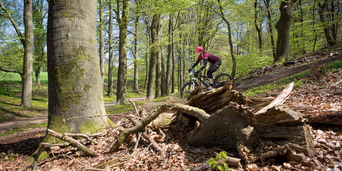 8x MTB-routes met hoogtemeters