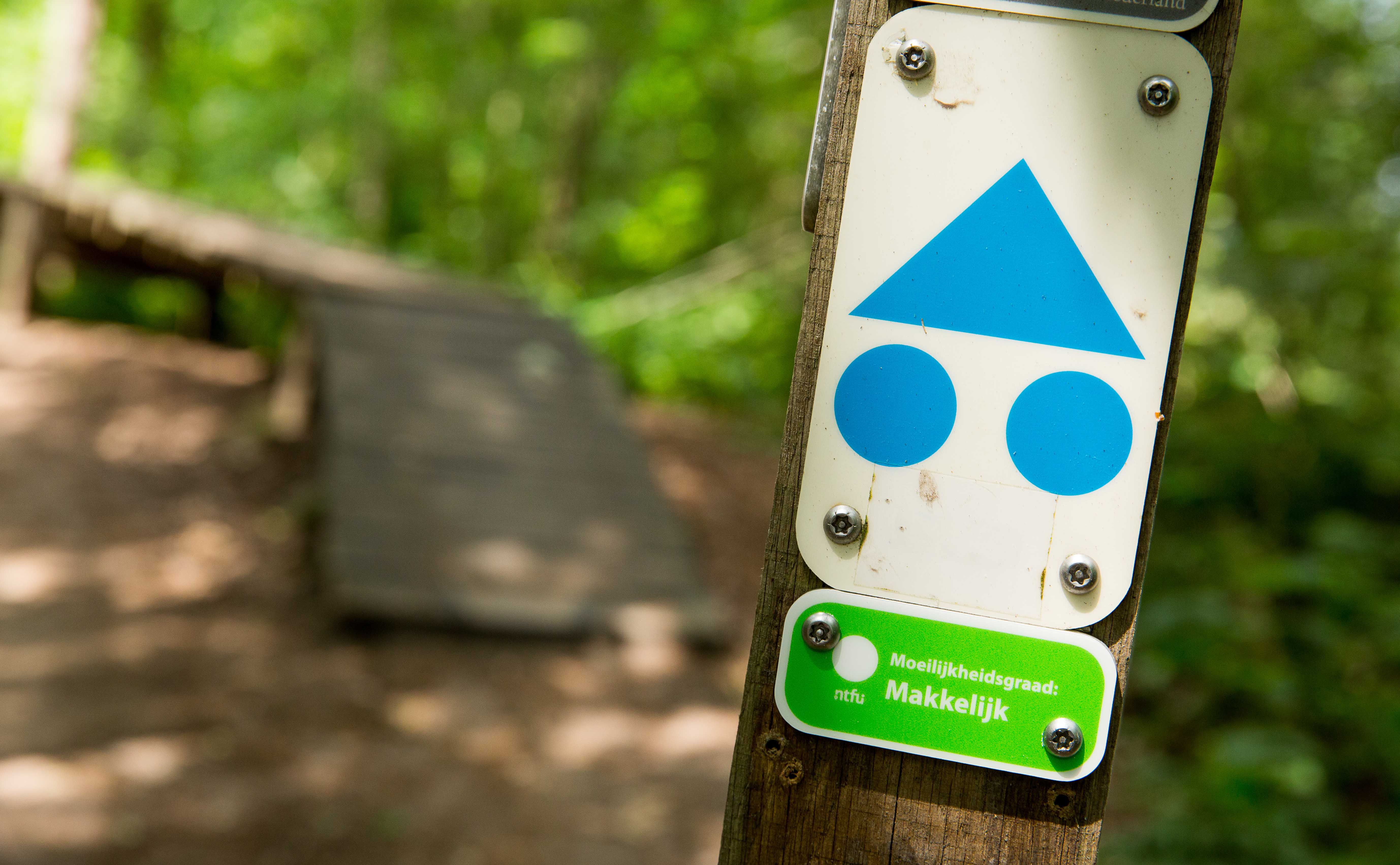 Wat is een groene mountainbikeroute