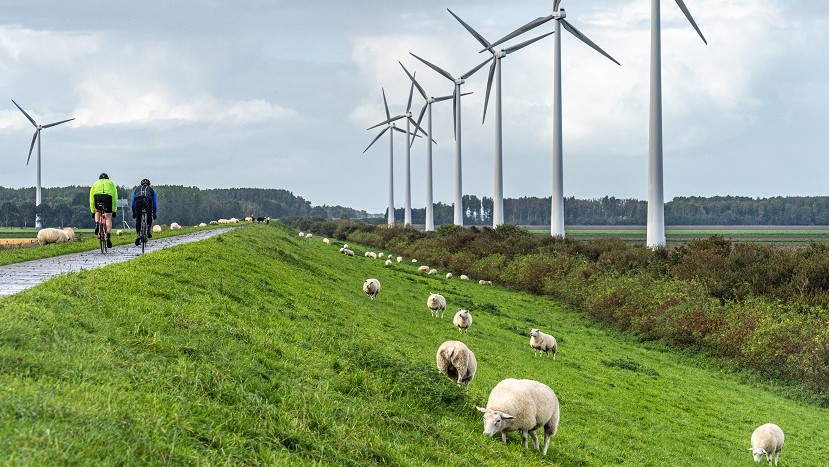 Veelzijdig Flevoland