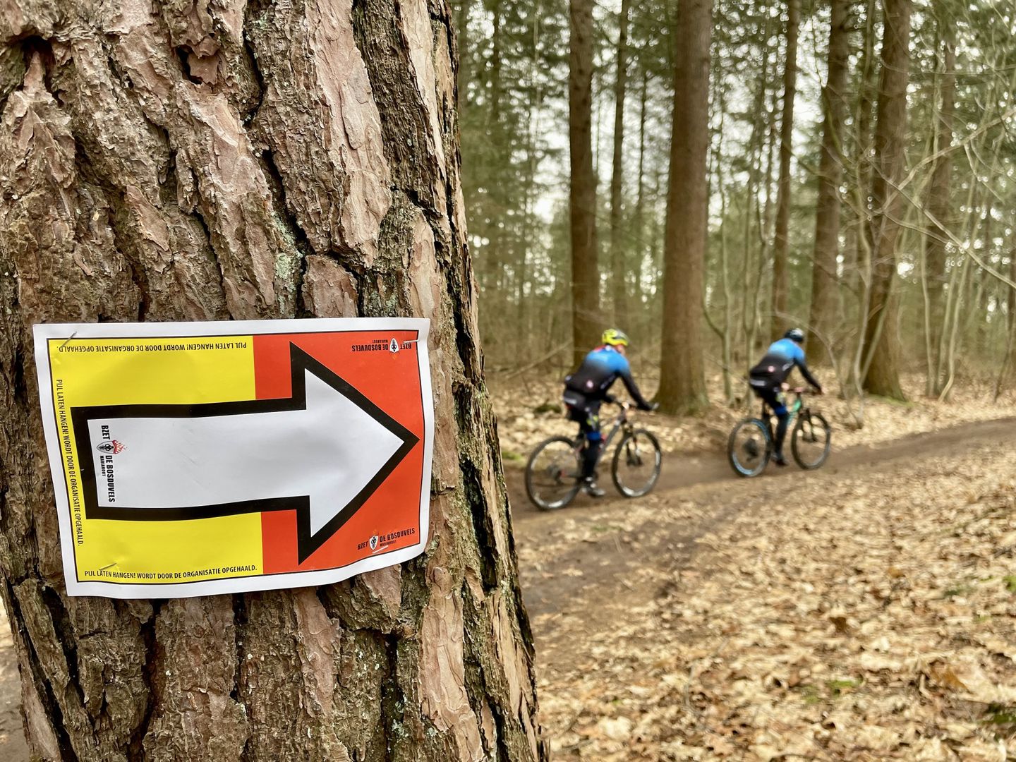 Nieuw kwaliteitssysteem voor NTFU-toertochten: jouw mening telt