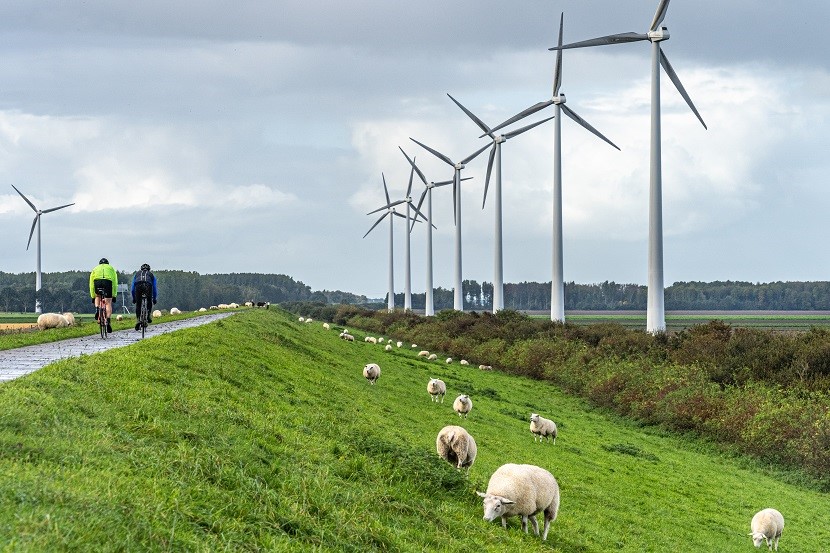 Veelzijdig Flevoland