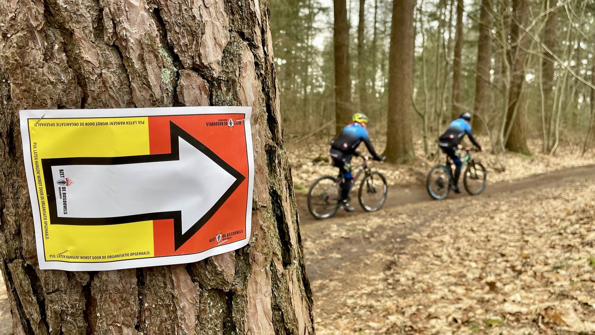 Nieuw kwaliteitssysteem voor NTFU-toertochten: jouw mening telt