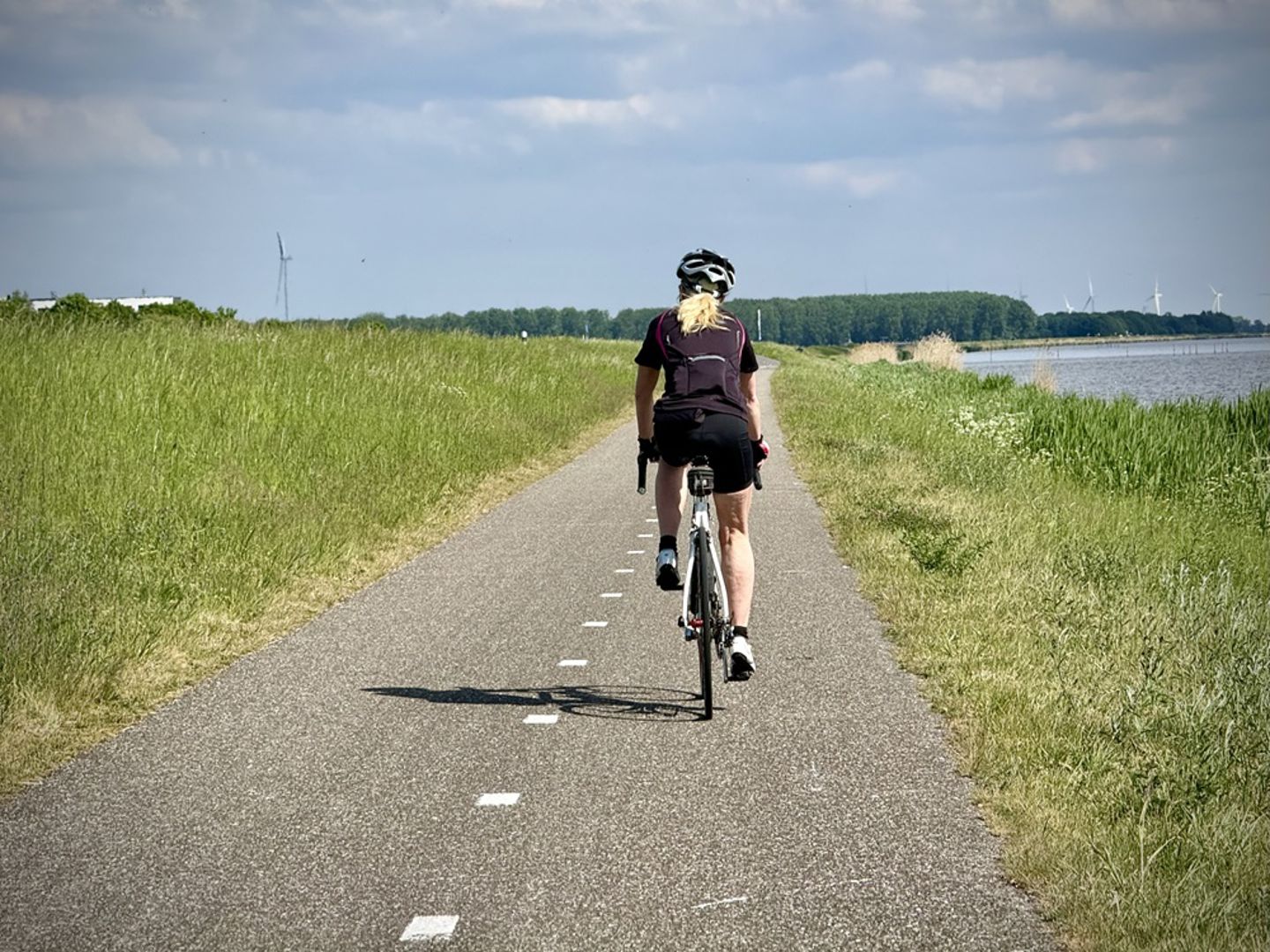 Column Jos Mans: Bestelbusje en bewegend stipje