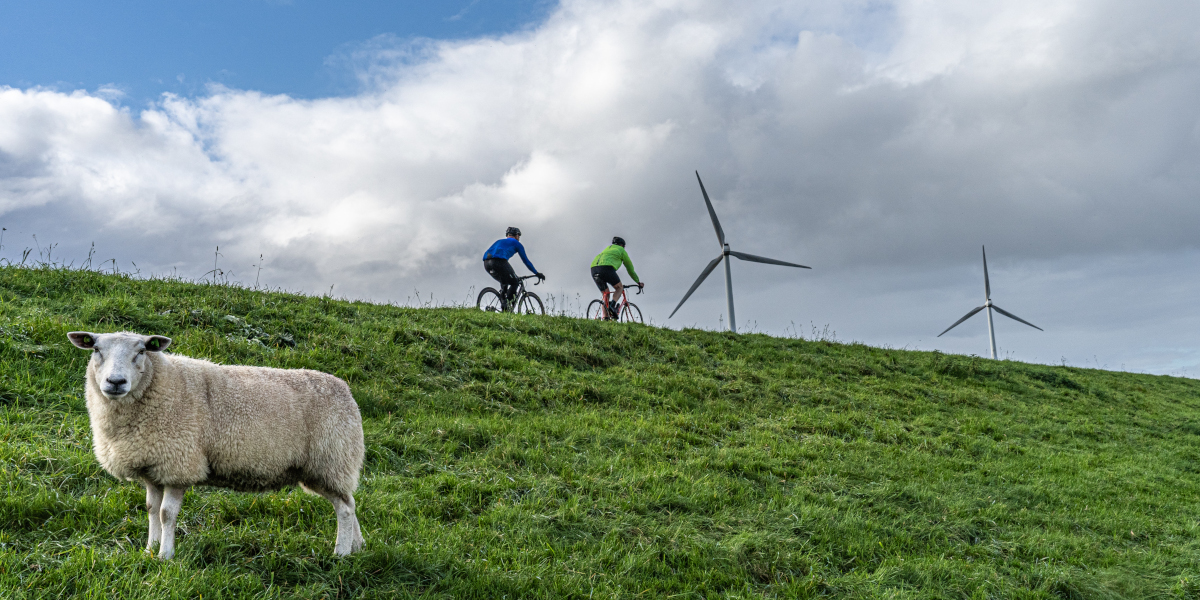 10x machtig mooie wielerroutes in Flevoland