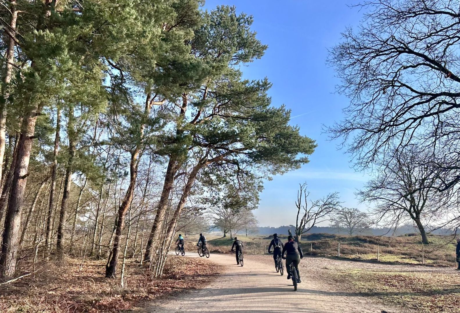 Waarom fietsen goed is voor je brein