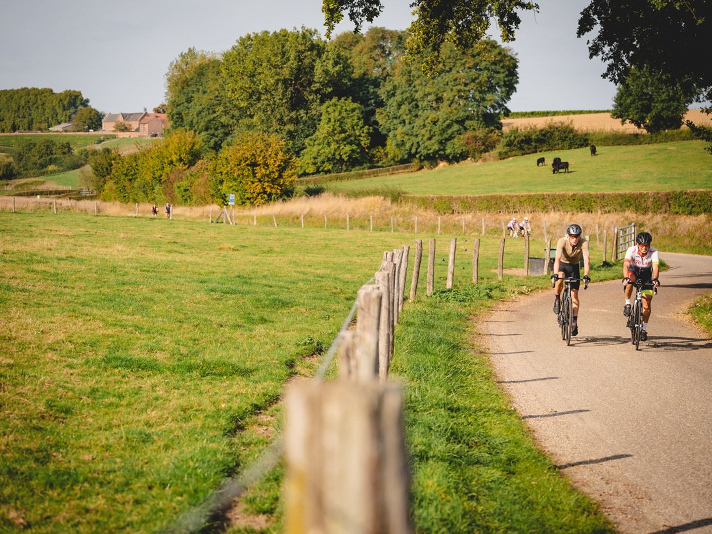 Speciale voorinschrijving Mergelheuvelland 2-Daagse 2026 nu geopend!