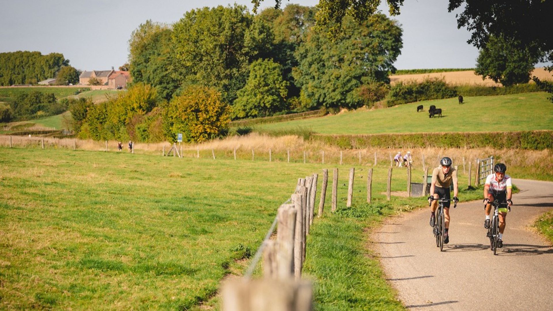 Speciale voorinschrijving Mergelheuvelland 2-Daagse 2026 nu geopend!