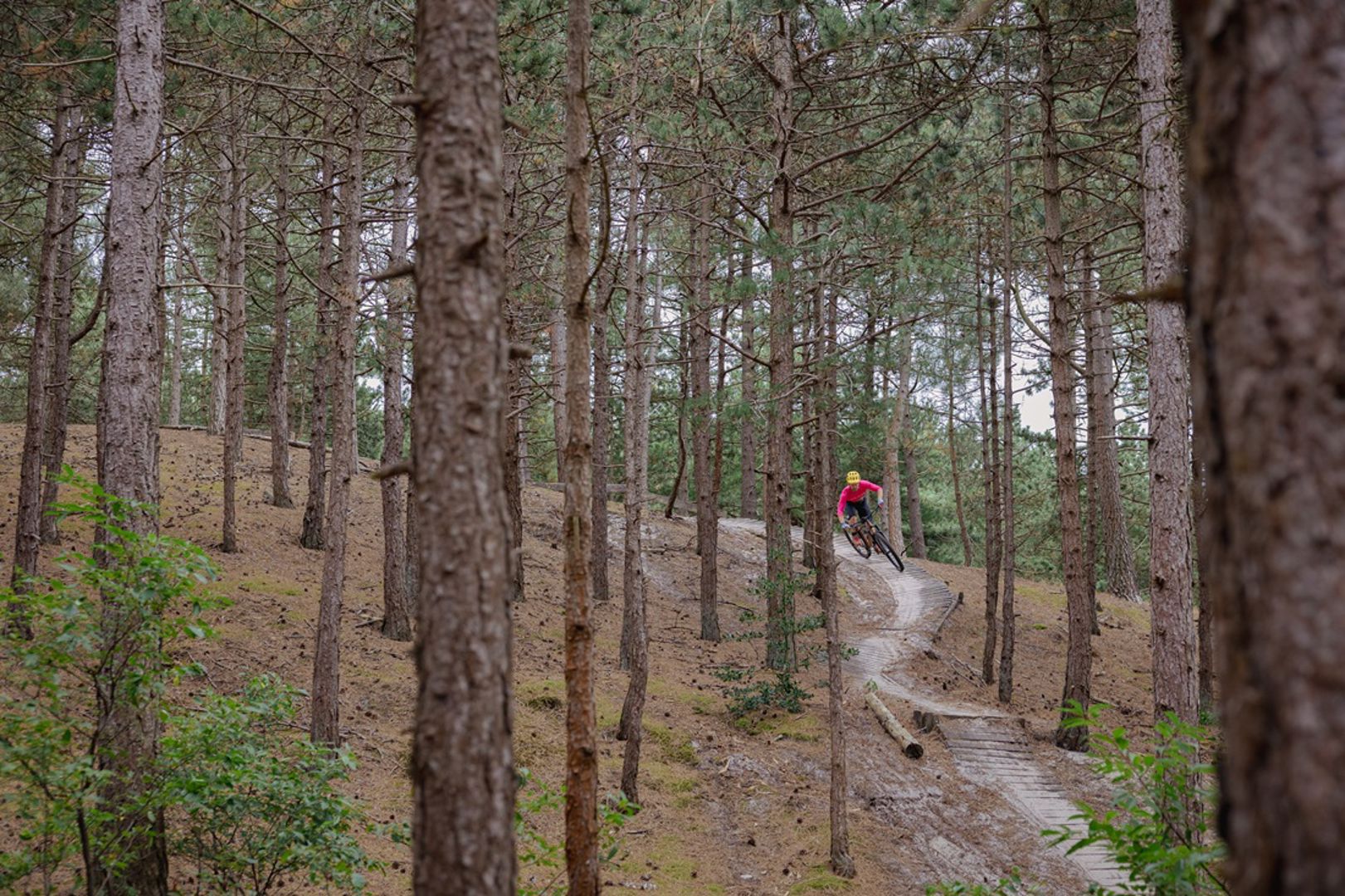 De aanhouder wint bij het aanleggen van een mountainbikeroute