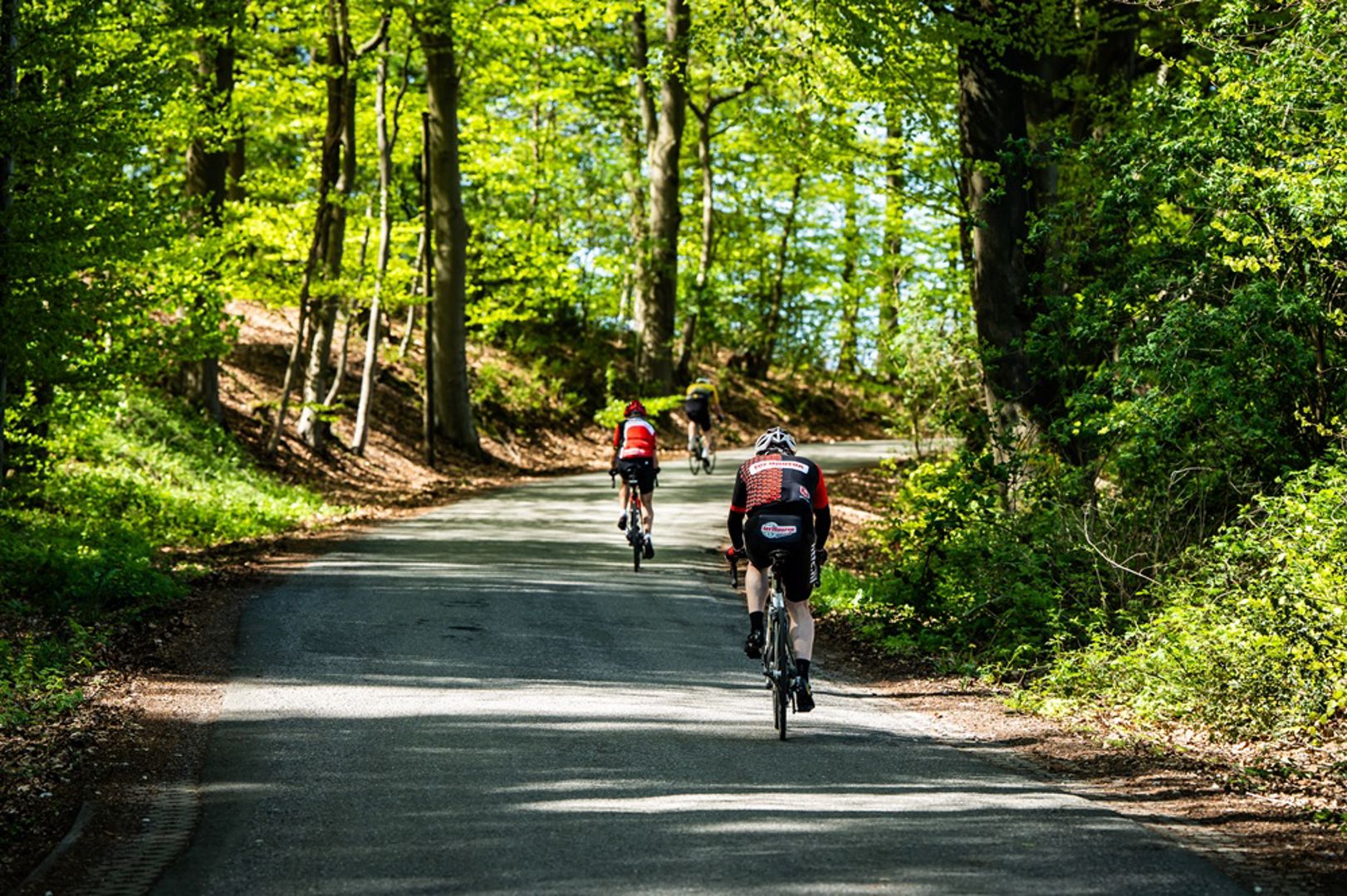 Waarom suiker voor fietsers niet per se slecht is