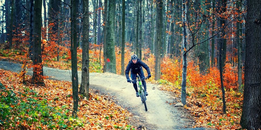 De 5 beste trails van Nederland