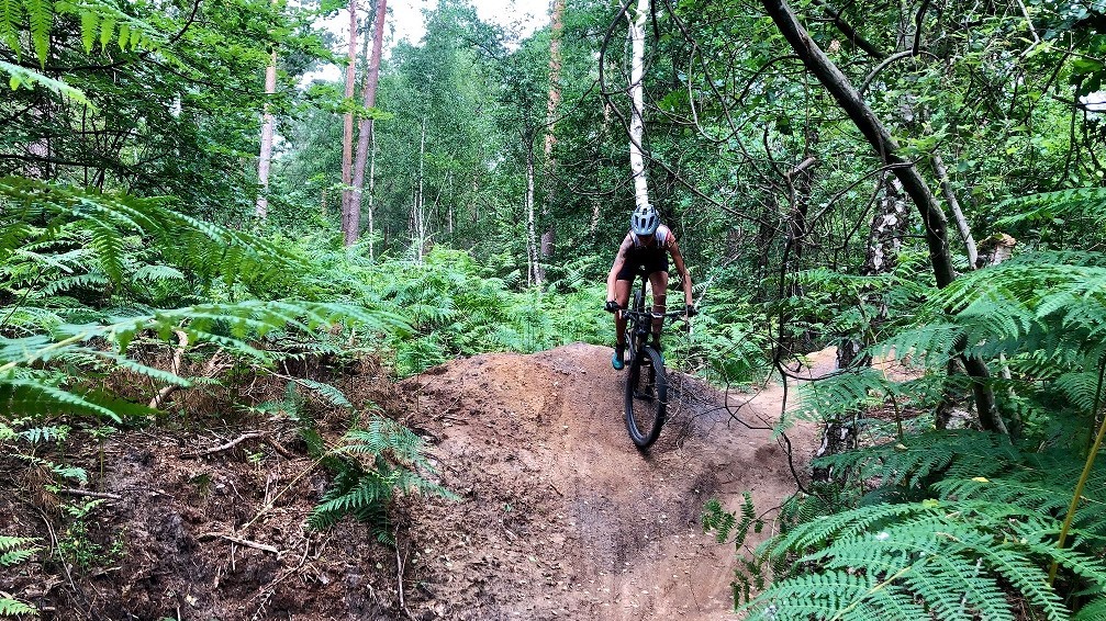 Mountainbiken in de Achterhoek