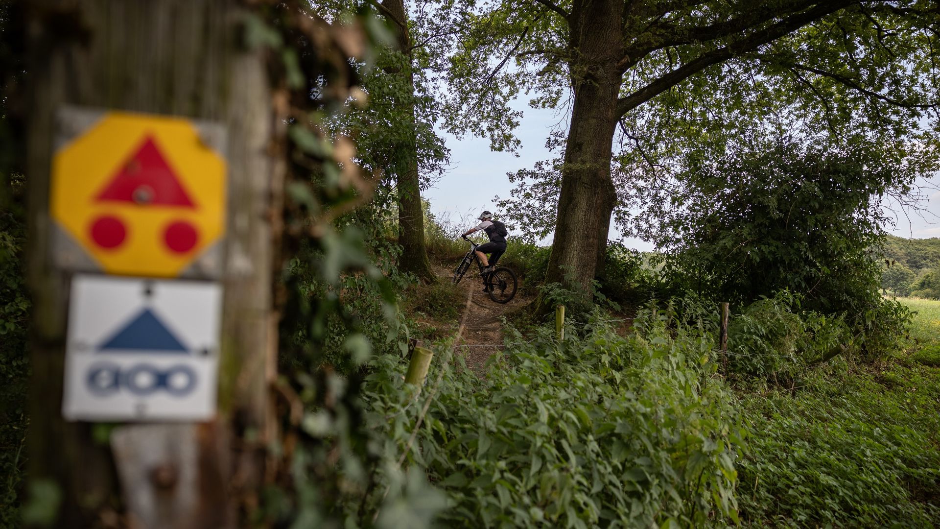 Limburg 200: dé uitdaging voor mountainbikers en gravelbikers