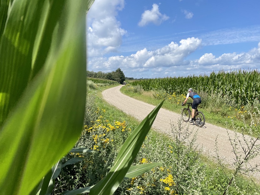Rose Backroad Gravel Tour: gave graveltocht in de grensstreek