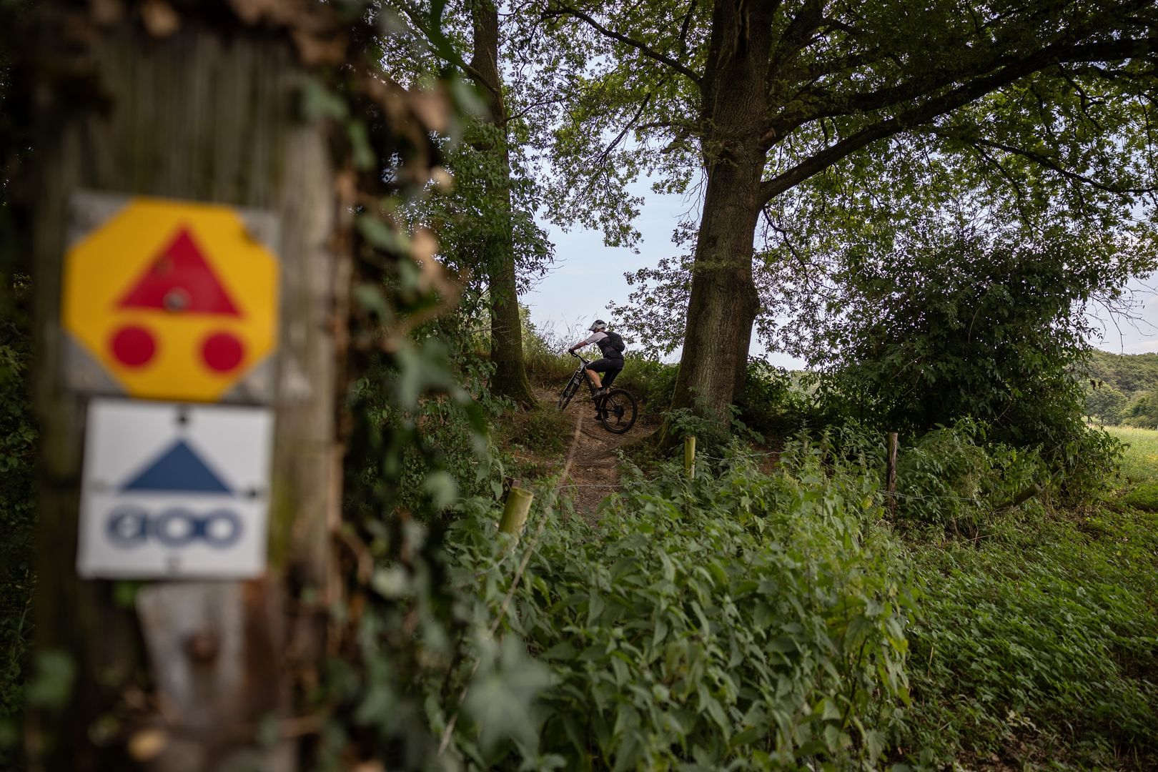 Limburg 200: dé uitdaging voor mountainbikers en gravelbikers
