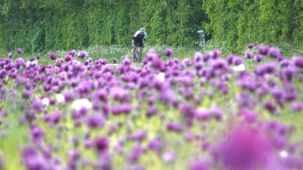 7x Tips om te fietsen met hooikoorts