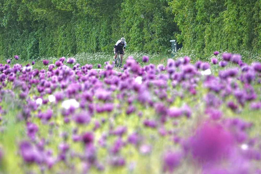 7x Tips om te fietsen met hooikoorts