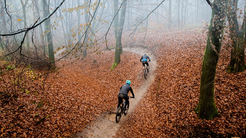 Deze MTB-routes op de Utrechtse Heuvelrug zijn een must voor iedere mountainbiker