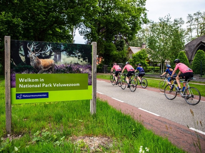 Gran Fondo Rosa in a box