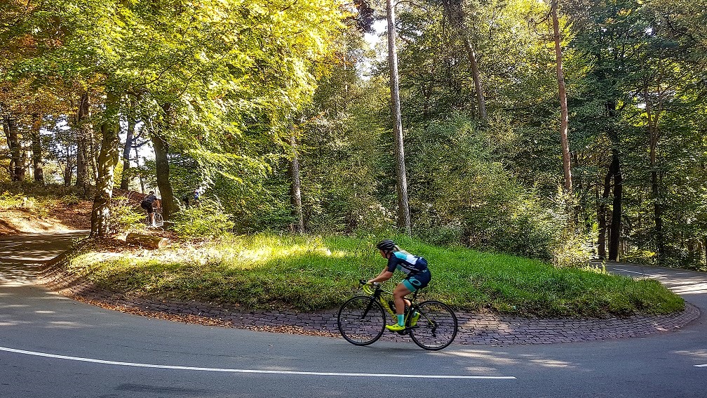 Top 10 beklimmingen op de Veluwe