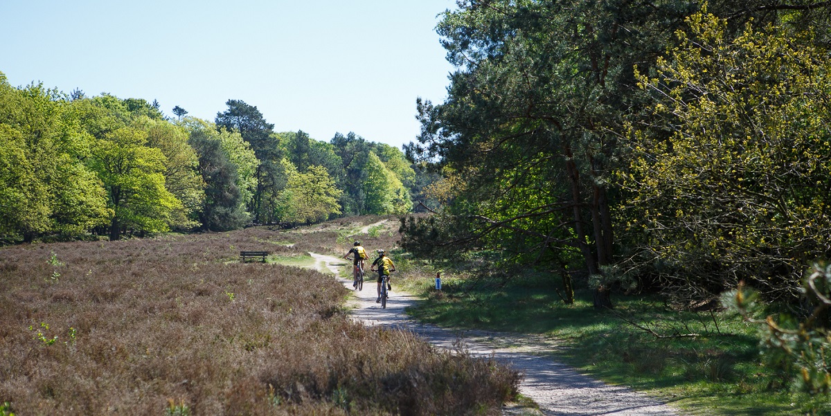 10 MTB-tochten die je in 2020 niet mag missen