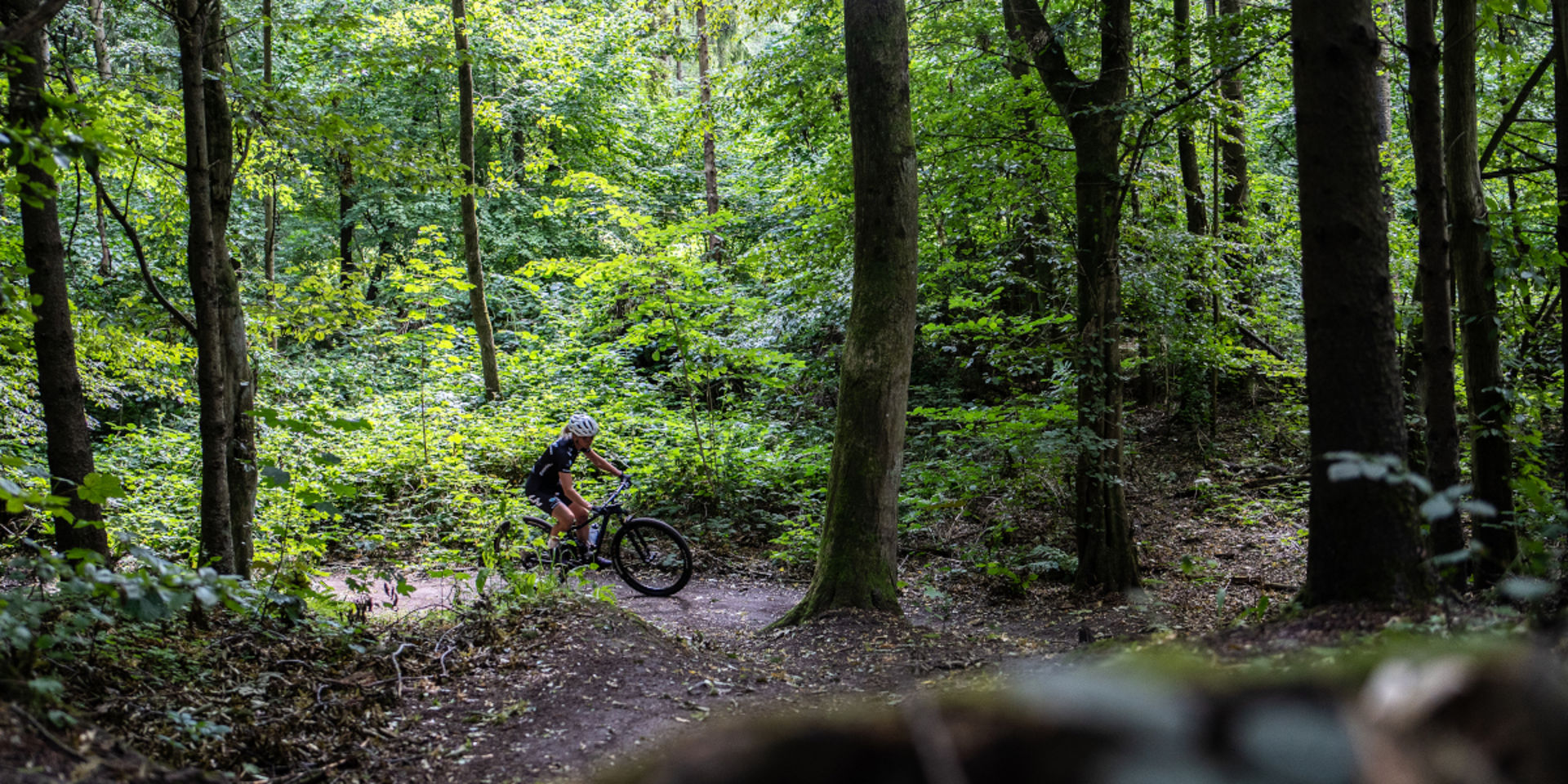 11x Verrassend leuke MTB-routes in Flevoland
