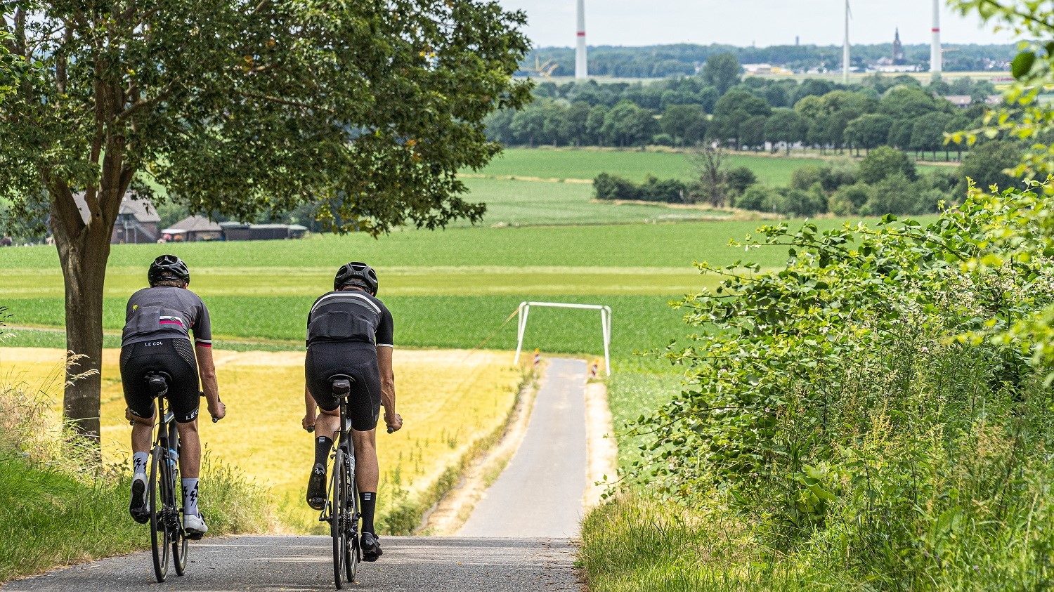 Klimmen op en over de Nederrijnse Heuvelrug