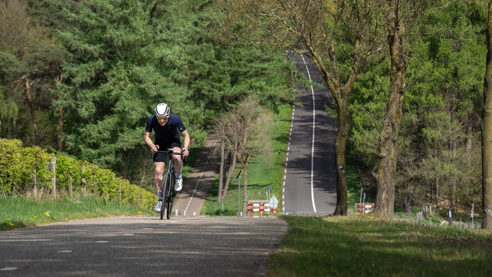 Interview met Dennis Oolbekkink, schrijver van 100 cols in Nederland
