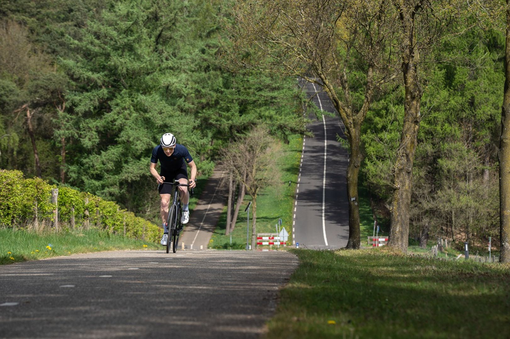 Interview met Dennis Oolbekkink, schrijver van 100 cols in Nederland